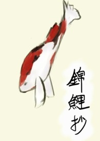 ���� ��BL��