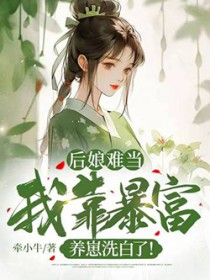 后娘难当:我靠养崽洗白了