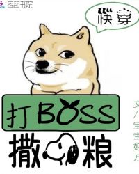 �촩ϵͳ����BOSS����������